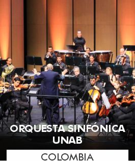 Orquesta Sinfónica UNAB