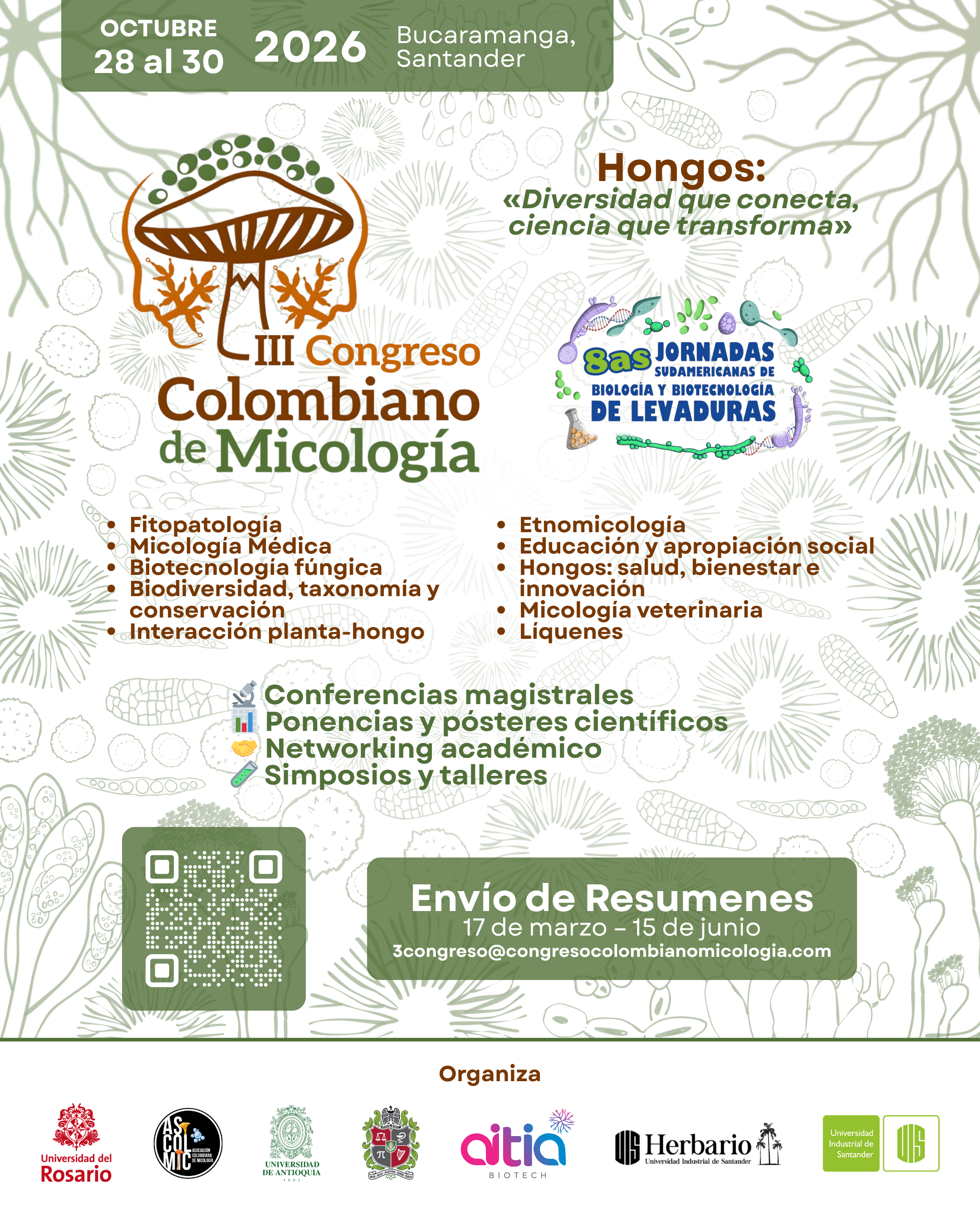 imagen hongos diversidad que conecta