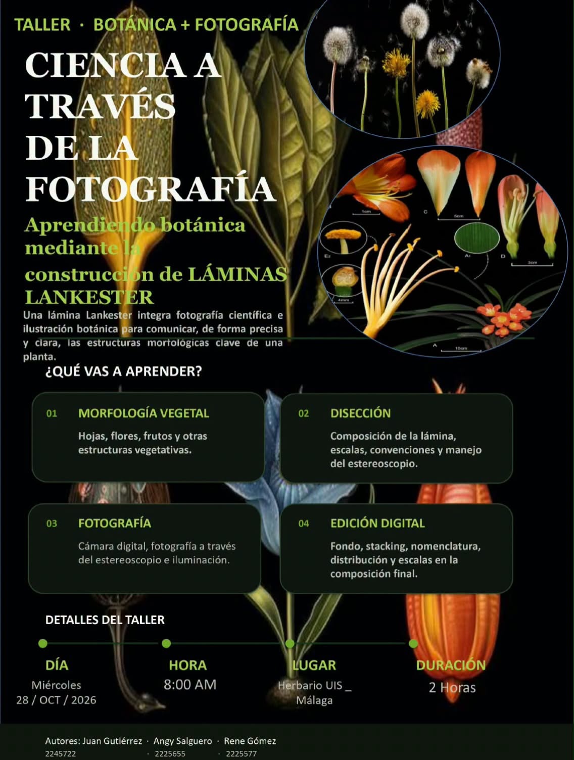 Imagen promocional del evento