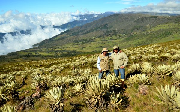 Imagen en el exterior de dos personas en un paramo con frailejones