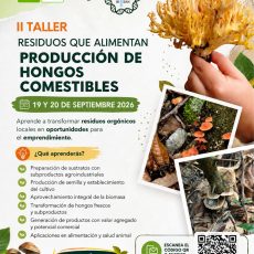 Imagen promocional del evento