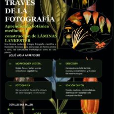 Imagen promocional del evento