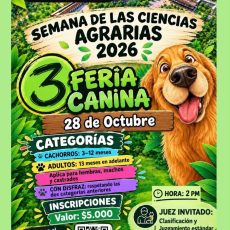 Imagen promocional del evento